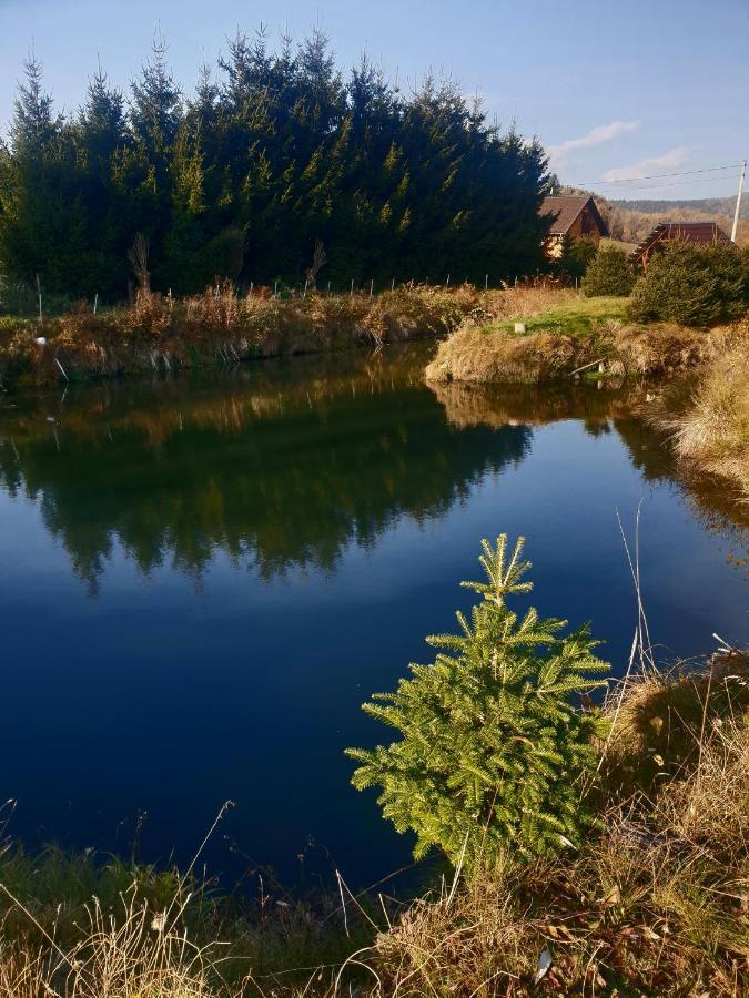 Agroturystyka Swierki Lubawka Exteriér fotografie